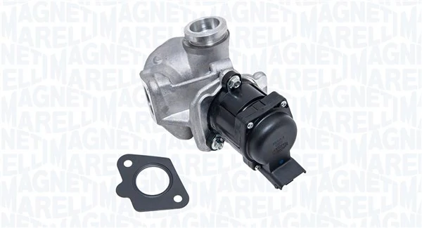 EGR Valve